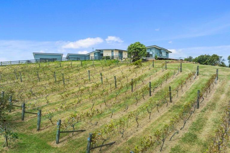 Vineyard Vacation Hotel Mangawhai Kültér fotó